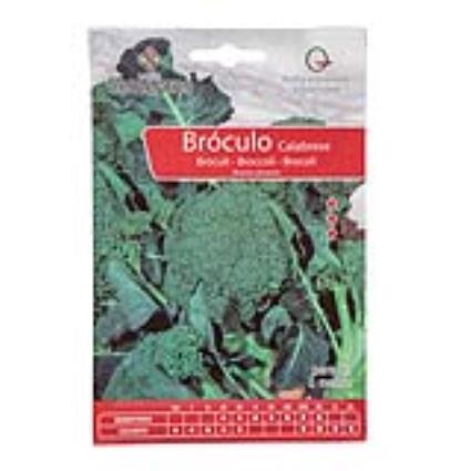 Semente Bróculo Calabrese 10gr