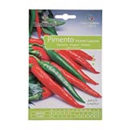 Semente Pimento Picante Cayenne 6gr