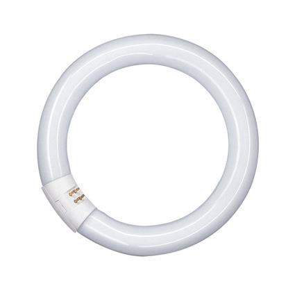 Lâmpada Fluorescente Circular Osram Lumilux G10Q 22W/865 C 1300Lm