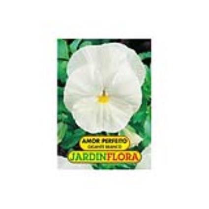 Sementes de Amor Perfeito Gigante