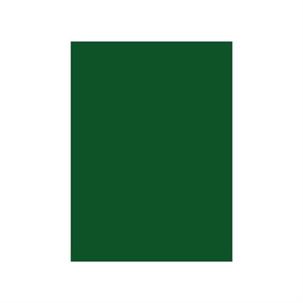 Cartolina Neutral > a4 180g verde escuro 125 folhas - 1722064