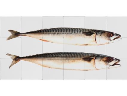 Mural Decorativo Autoadesivo ESTAHOME (97 x 48,5 cm - Tecido - Cinzento)