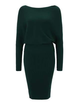 Banana Republic Petite Vestido de malha 'SERENE'  verde escuro