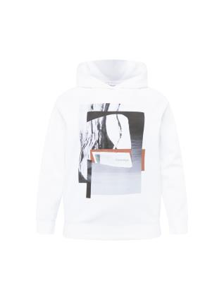 Calvin Klein Curve Sweatshirt  cinzento / preto / branco