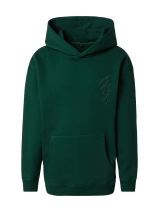 FC BAYERN MÜNCHEN Sweatshirt 'Lio'  verde escuro