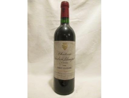 Vinho Tinto CHÂTEAU ANDRON BLANQUET 1996 (75 cl - 1 unidade)