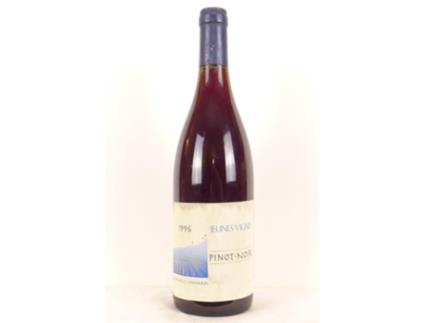 Vinho Tinto CAVE DES HAUTES CÔTES 1996 (75 cl - 1 unidade)