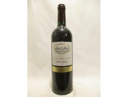 Vinho Tinto CHÂTEAU HAUT BERNONES 2009 (75 cl - 1 unidade)