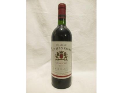 Vinho Tinto CHÂTEAU PUY JEAN FAURE 1995 (75 cl - 1 unidade)