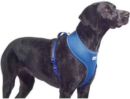 Peitoral para Cães  (Azul - S - Porte Pequeno)