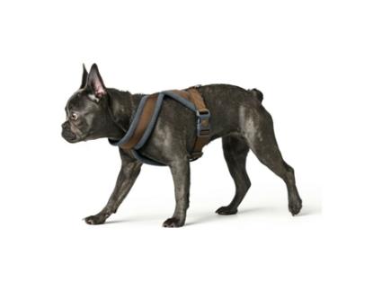 Peitoral para Cães HUNTER (15.16 x 1.73 x 19.77 cm - Multicor)