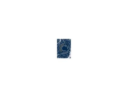 Livro Phantasus: Poema-Non-Plus-Ultra (Português)