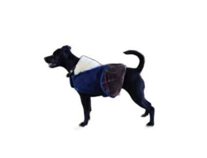 Casaco Cães Unisexo KENTUCKY DOGWEAR (34/38 cm - Pele Sintética - Azul)