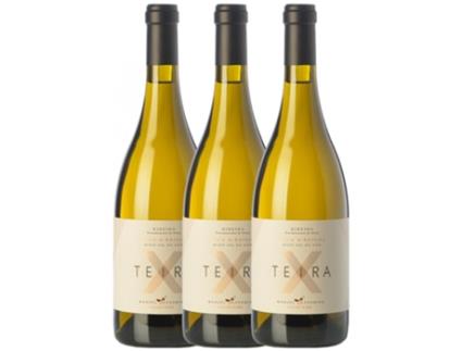 Vinho FORMIGO Formigo Teira X Ribeiro (0.75 L - 3 unidades)