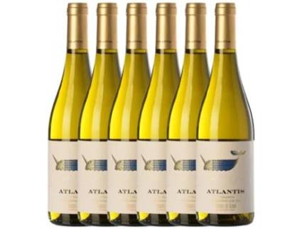 Vinho CASTILLO DE MAETIERRA Castillo De Maetierra Atlantis Txakolí De Álava Hondarribi Zuri Arabako Txakolina (0.75 L - 6 unidades)