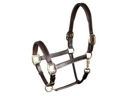 Cabresto de couro acolchoado para cavalos Harry's Horse