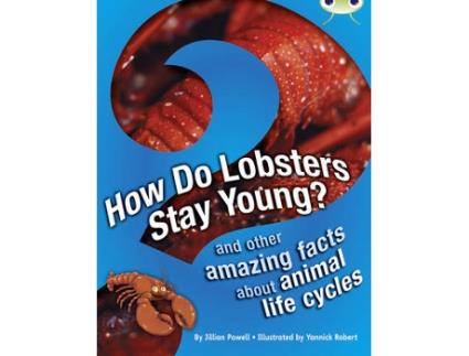 Livro bug club independent non fiction year 3 brown a how do lobsters stay young? de jillian powell (inglês)
