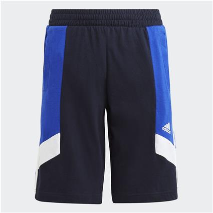 Adidas Sportswear Calções de desporto