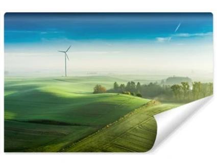 Fotomural DOBOXA  Vista Aérea De Um Prado Verde 3D - Tamanho: 416x254 cm