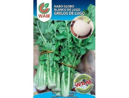 Sementes  Grelos de Lugo