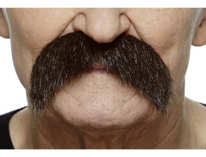 Bigode  Denso (Tam: Tamanho Único)