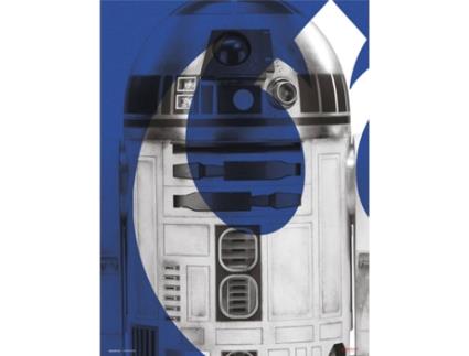 Print  30X40 Cm Ix R2-D2