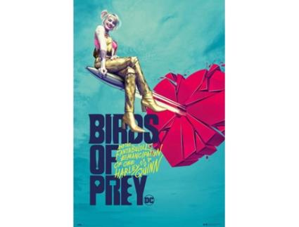 Poster S Birds Of Prey Broken Heart