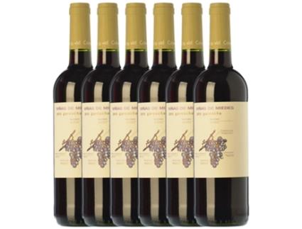 Vinho SAN ALEJANDRO San Alejandro Viñas De Miedes Grenache Calatayud Joven (0.75 L - 6 unidades)