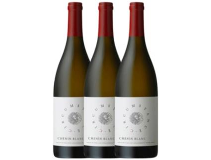 Vinho WATERKLOOF Waterkloof Circumstance Chenin Branco Stellenbosch (0.75 L - 3 unidades)