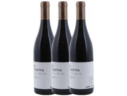 Vinho DOMAINE SAINT ETIENNE Domaine Saint Etienne Le Caprea Costières De Nîmes (0.75 L - 3 unidades)