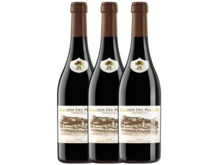 Vinho PÁGANOS Páganos Calados Del Puntido Tempranillo Rioja (0.75 L - 3 unidades)