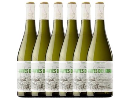 Vinho JOSEP VICENS Josep Vicens Vinyes Del Grau Grenache Branca Terra Alta Joven (0.75 L - 6 unidades)