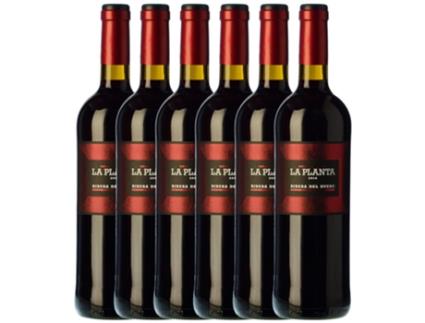 Vinho ARZUAGA Arzuaga La Planta Tempranillo Ribera Del Duero Joven (0.75 L - 6 unidades)