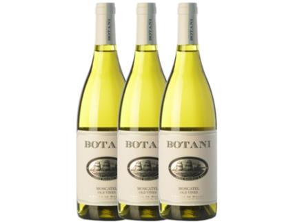 Vinho JORGE ORDÓÑEZ Jorge Ordóñez Botani Mascate De Alexandria Sierras De Málaga (0.75 L - 3 unidades)