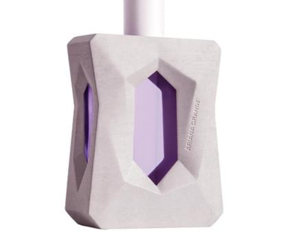 Ariana Grande    100 ml