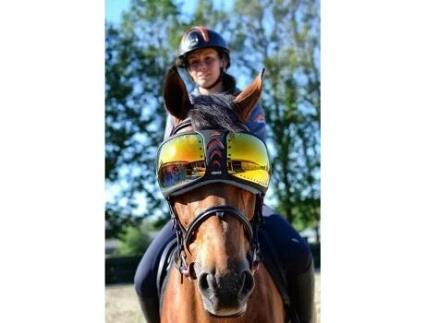 Óculos para Cavalos para Mulher EQUICK (TU - Laranja)