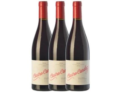 Vinho CASTRO CANDAZ Castro Candaz Mencía Ribeira Sacra Joven (0.75 L - 3 unidades)