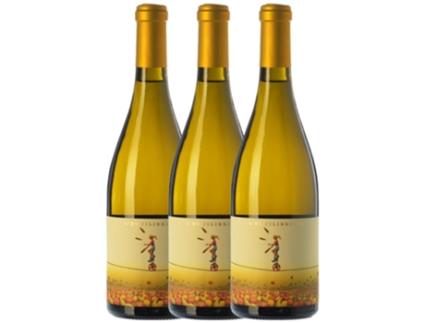 Vinho Brancos CA N'ESTRUC Ca N'Estruc L'Equilibrista Blanc Xarel·Lo Catalunya Crianza (0.75 L - 3 unidades)