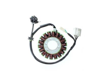 Alternador de motocicleta adaptável original Electrosport Kawasaki