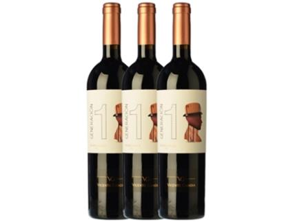 Vinho VICENTE GANDÍA Vicente Gandía Generación 1 Utiel-Requena Crianza (0.75 L - 3 unidades)