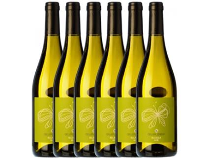 Vinho CREDO Credo Volaina Parellada Penedès (0.75 L - 6 unidades)