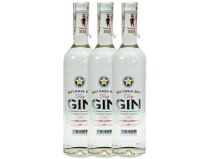 Gin SHAMAN Shaman Bothnia Bay Dry (0.5 L - 3 unidades)