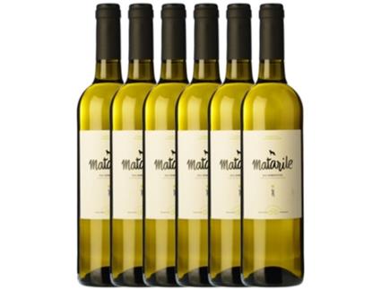 Vinho CARLOS VALERO Carlos Valero Heredad Matarile Chardonnay Gewürztraminer Somontano (0.75 L - 6 unidades)