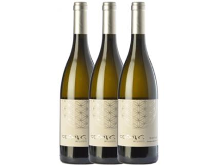 Vinho CÒSMIC Còsmic Gratitud Sauvignon Branca Crianza (0.75 L - 3 unidades)