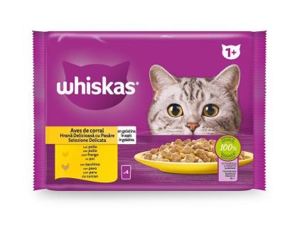 Comida Húmida Gato Whiskas Aves 4x85g