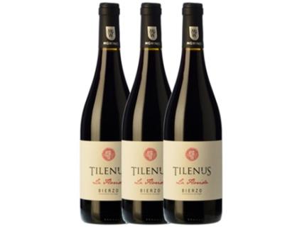 Vinho ESTEFANÍA Estefanía Tilenus Mencía Bierzo Crianza (0.75 L - 3 unidades)