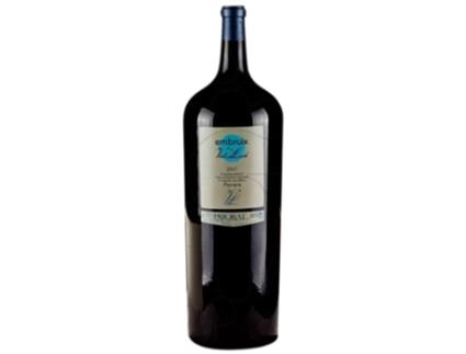Vinho VALL LLACH Vall Llach Embruix Priorat Crianza 18 L (18 L - 1 unidade)
