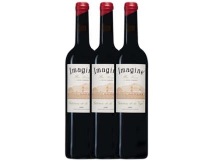 Vinho Tinto GUTIÉRREZ DE LA VEGA Gutiérrez De La Vega Imagine Alicante (0.75 L - 3 unidades)