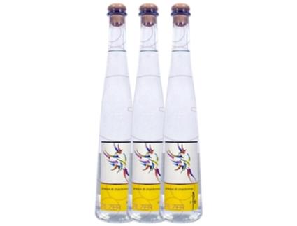 Aguardente PILZER Grappa Pilzer Chardonnay (0.5 L - 3 unidades)