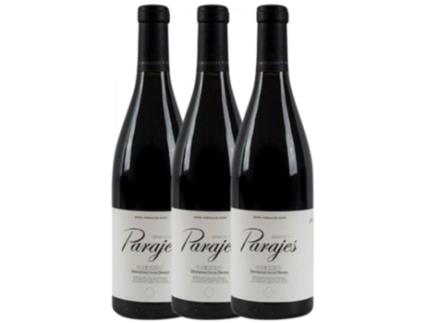 Vinho CÉSAR MÁRQUEZ César Márquez Parajes Bierzo (0.75 L - 3 unidades)